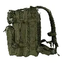 351620_11_03.webp