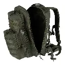 351750_125_10.webp