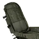 351750_125_12.webp